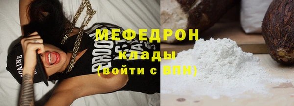 хмурый Ельня
