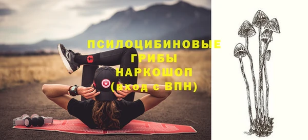 хмурый Ельня