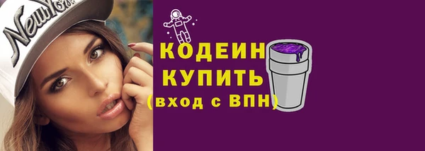 прущие крисы Заводоуковск