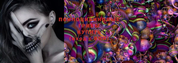 тгк Заволжск