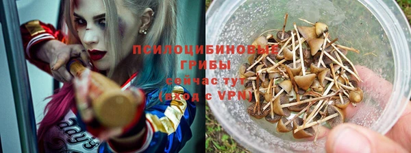 тгк Заволжск