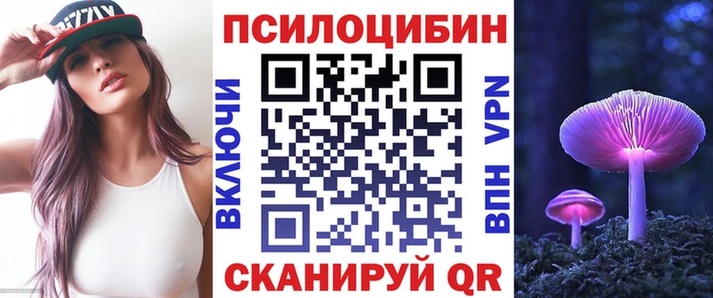 Псилоцибиновые грибы Psilocybine cubensis darknet телеграм Заинск