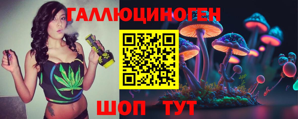 Галлюциногенные грибы MAGIC MUSHROOMS  Вход с VPN  Заинск 